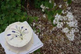 手绘奶油蛋糕 | 鲜果原味奶油 - 薰衣草花园