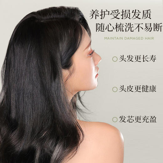 诗绘 生姜防脱洗发水 商品图5