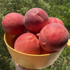 产地直邮-陕西突围水蜜桃 硬吃脆甜 软吃糯甜 商品缩略图0