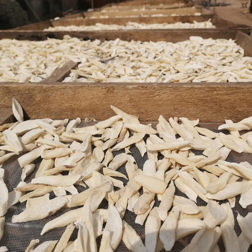 热卖【铁棍山药片】精选温县垆土种植的铁棍山药，今年新货，整根鲜切，自然风干，山药原香 商品图1