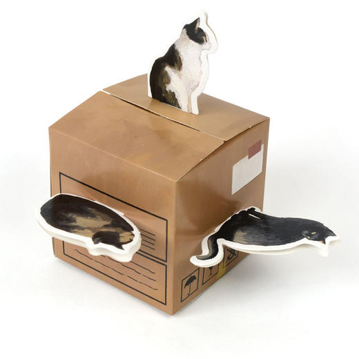 一只猫和颠倒的世界     2年级正版现货速发|名师推荐|小学生课外阅读二年级 商品图1