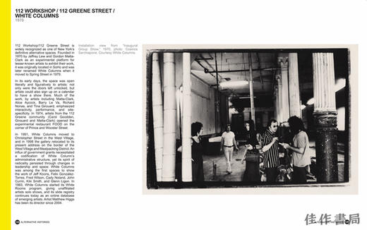 Alternative Histories: New York Art Space、1960-2010 / 另类历史：纽约艺术空间  1960-2010年 商品图3