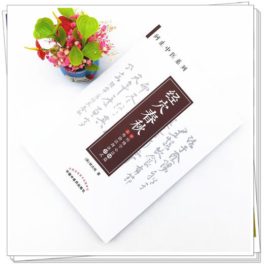 【出版社直销】经穴春秋(外治法剑诀27式 经络学心法18篇） 美.林大栋 著 问止中医系列丛书 中国中医药出版社 针灸学 书籍 商品图2
