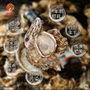 遵循自然本味蚝油 真正0添加的蚝油，60%蚝汁精华，高浓蚝汁入料；可用于蒸炒，烧烤，拌馅，蘸料 商品缩略图2