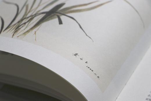 《楚辞选：黄永玉插图珍藏版》八十八幅黄永玉画作 商品图3