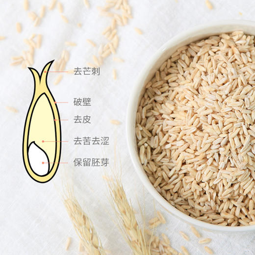 热卖【胚芽燕麦米】升级工艺，保留更多营养，低卡饱腹，明星超模同款轻食主食 商品图5