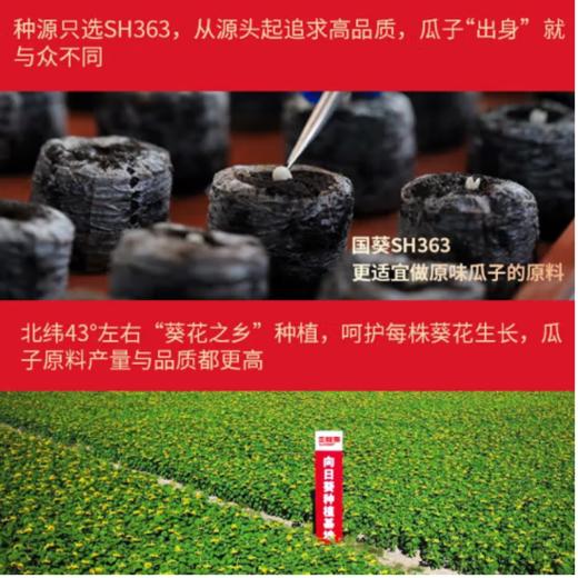 三胖蛋经典原味瓜子180g*4罐 商品图3