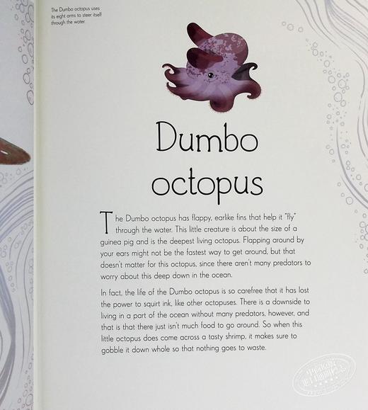 【中商原版】DK水生生物选集 An Anthology of Aquatic Life 英文原版 Sam Hume 自然百科 海洋生物 自然科学 商品图5