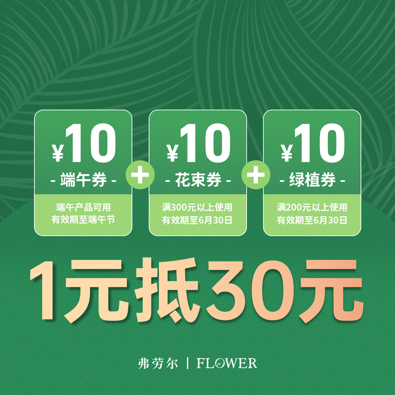 1元抵30元现金券