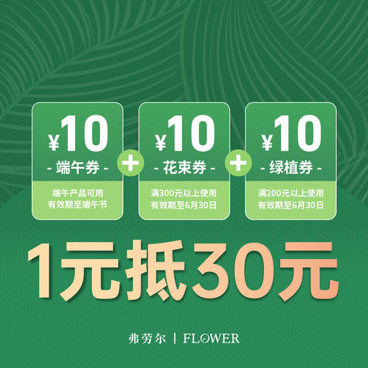 1元抵30元现金券 商品图0