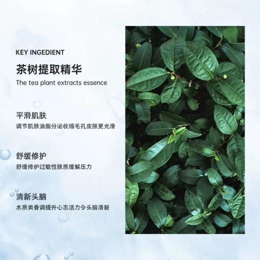 【99元会员福利】暖树·茶树纯露痘肌调理面膜30ml*6片/盒  
 商品图2