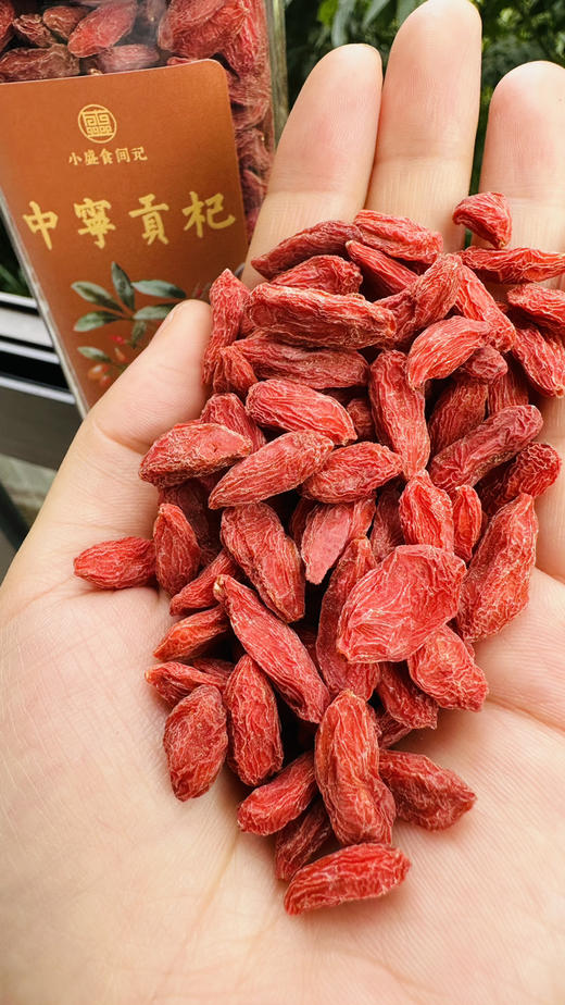 宁夏中宁红枸杞贡果等级220g 商品图8
