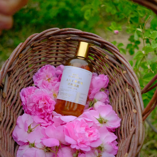 必囤NO1!【陪伴到老!含有精油的大马士革玫瑰纯 露】最顶级的食用玫瑰，4斤鲜花1斤水蒸馏萃取。 保加利亚官方合作基地纯种种苗，自然农法种植， 桃花源中有玫瑰! 商品图10