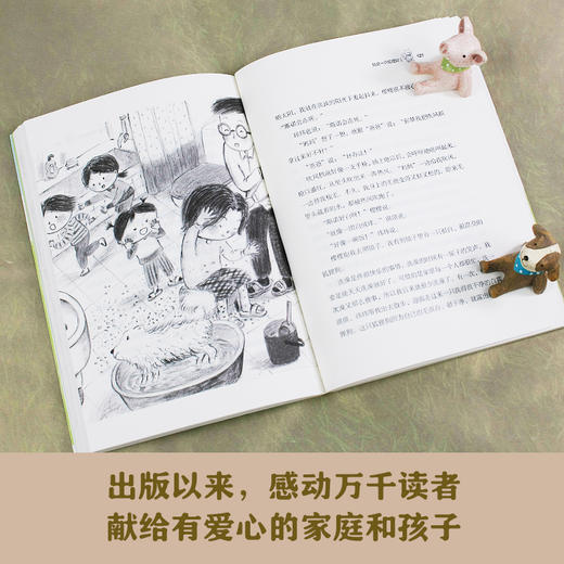 我是一只狐狸狗    4年级正版现货速发|名师推荐|小学生课外阅读四年级 商品图1