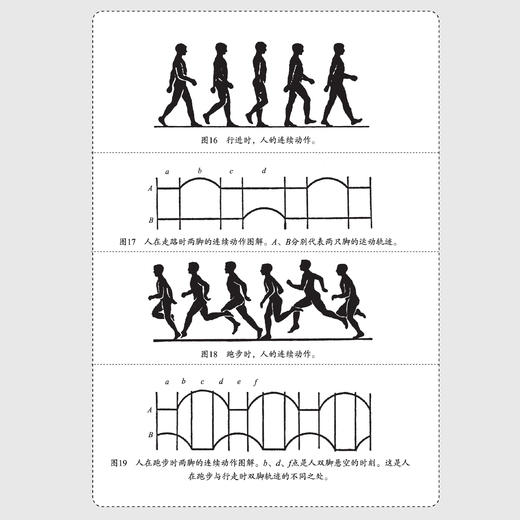 《全世界孩子喜爱的大师趣味科学丛书》（全12册） 商品图8