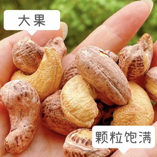 【紫衣腰果】A180级大果，盐焗香酥大果仁，带皮烘烤更入味，皮薄易脱香酥脆，老人小孩、减脂小姐姐小零食！全家都爱的小零食 商品图1