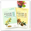 套装2本 药食同源疗百病（温性热性药食+寒性凉性平性药食） 吕沛宛 朱培一 著 46种温性热性药食这样吃健康书籍 中国中医药出版社 商品缩略图2