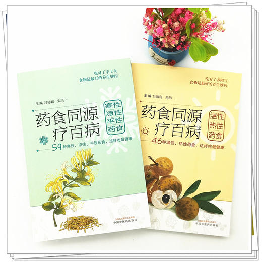 套装2本 药食同源疗百病（温性热性药食+寒性凉性平性药食） 吕沛宛 朱培一 著 46种温性热性药食这样吃健康书籍 中国中医药出版社 商品图2