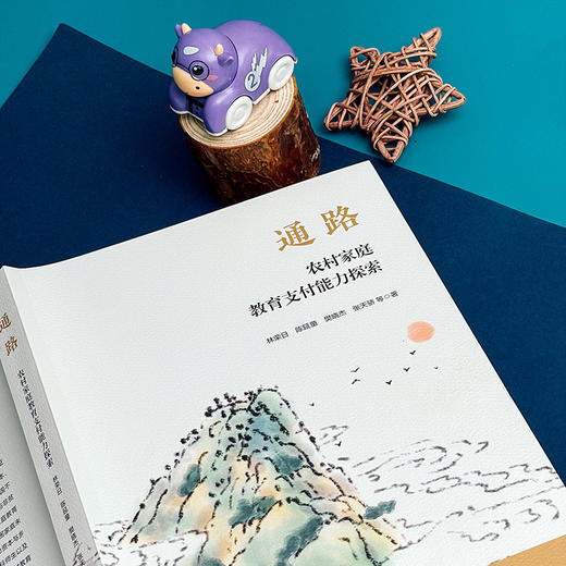 通路 农村家庭教育支付能力探索 林荣日等著 商品图9