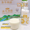 热卖！！【左江水牛奶】珍稀奶源，原生牧场的乳中珍品纯奶，3.9克乳蛋白，100%的纯水牛乳0添加剂0腥味0糖，口感堪称“减糖版旺仔”，醇甜丝滑如冰淇淋喝一口就爱上！ 商品缩略图1