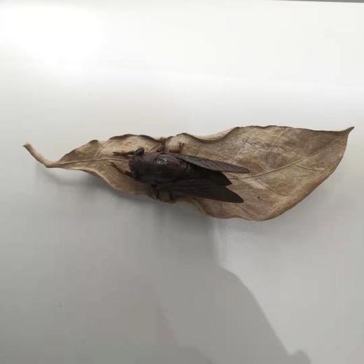 一夜成名°小叶紫檀木雕摆件 商品图0