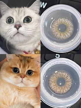 看我根据猫猫找到的美瞳！