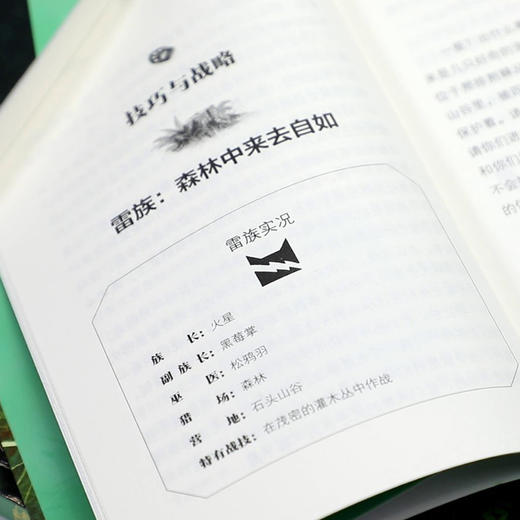 猫武士荒野手册（全5册； 猫武士系列阅读指南，探秘五大族群历史、领地、仪式、预言、武士法则等，为猫迷们勾勒了猫武士世界的框架） 亚马逊网站五星级畅销书, 欧美销售突破10000万册 商品图6