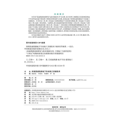 30001深埋高速铁路地下车站施工关键技术 商品图1