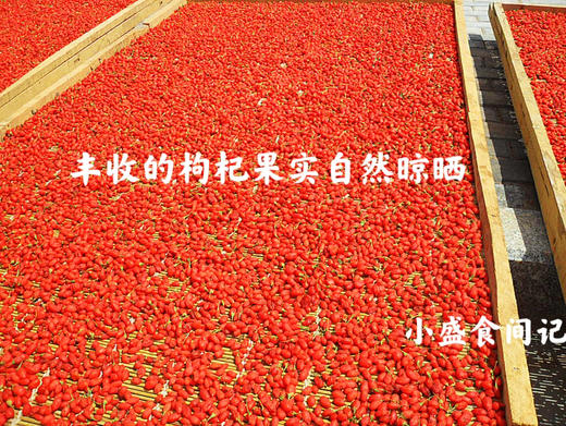 宁夏中宁红枸杞贡果等级220g 商品图5