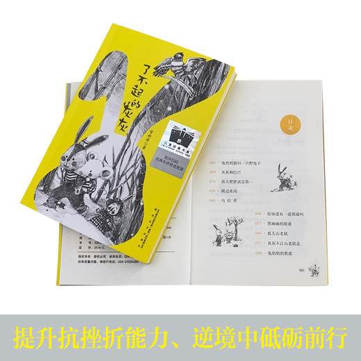 了不起的灰灰   3年级正版现货速发|名师推荐|小学生课外阅读三年级 商品图2