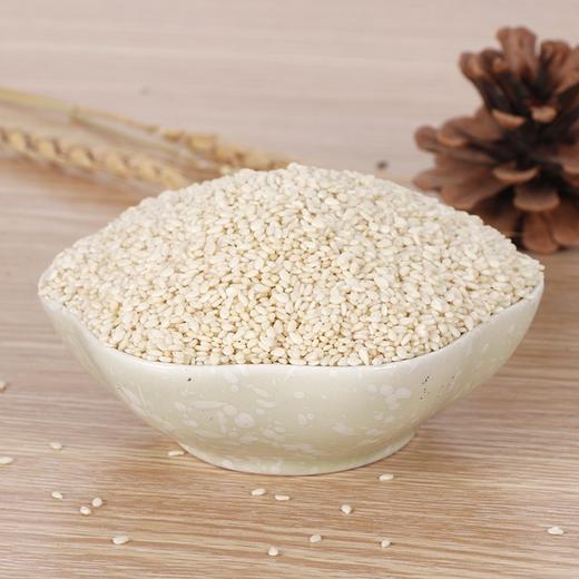 白芝麻 100g 商品图0