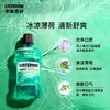 李施德林清凉薄荷漱口水250ml 商品缩略图3