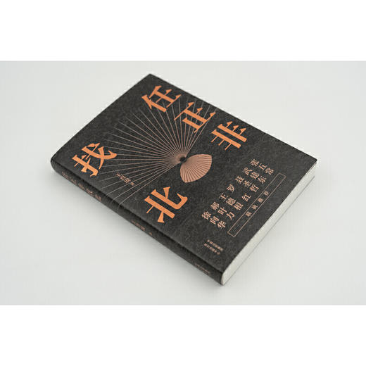 任正非找北   王育琨 商品图2