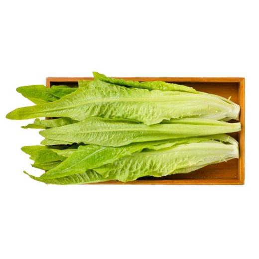 每日伊藤油麦菜 约 300g/袋 商品图1