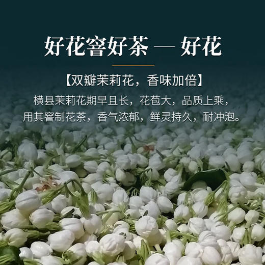 严选 | 高端茉莉针王浓香型特级细芽花茶 七窨针王大白毫茶叶 75g/盒*2 到手150g（两种颜色包装随机发货） 商品图3