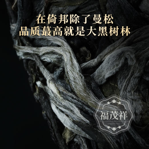 【大黑树林】曼松兄长大黑树林 皇家贡茶地1类大高杆 倚邦二组茶农联合出品 2023年云南普洱生茶500年高杆古树 357g饼茶 商品图2