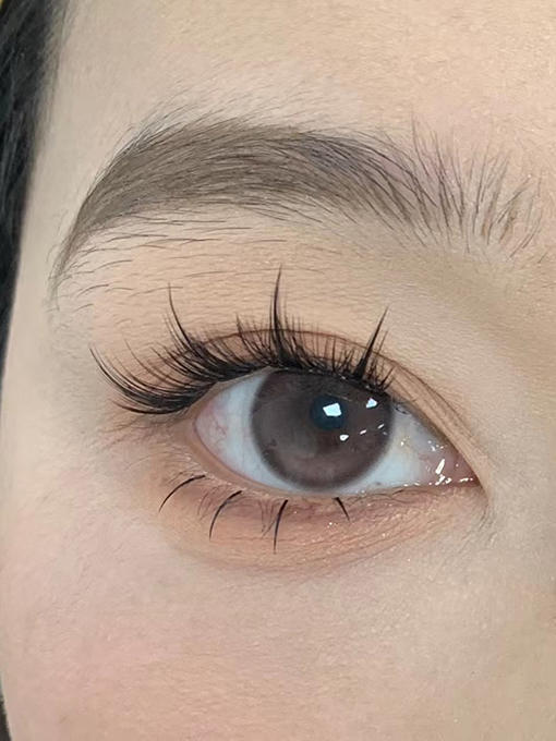 ALLECON 小树莓  半年抛 两片 14.2mm 参考着色 13.5mm 基弧 8.6 含水 38% 韩国进口 商品图3