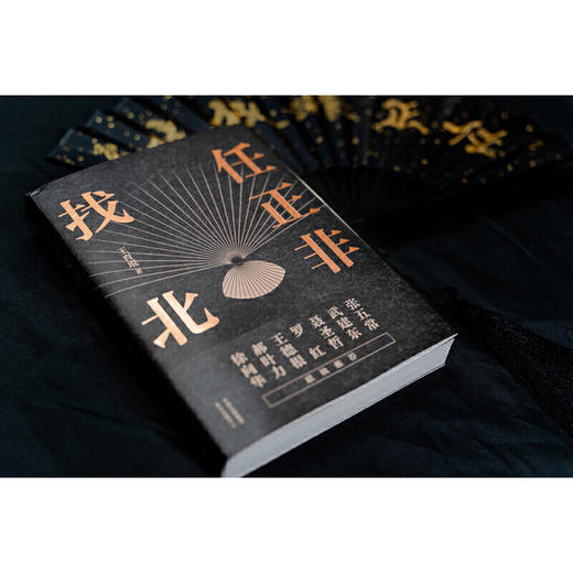 任正非找北   王育琨 商品图1