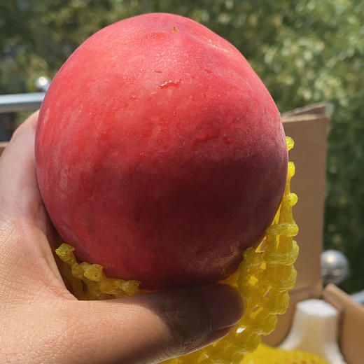 产地直邮-陕西突围水蜜桃 硬吃脆甜 软吃糯甜 商品图2