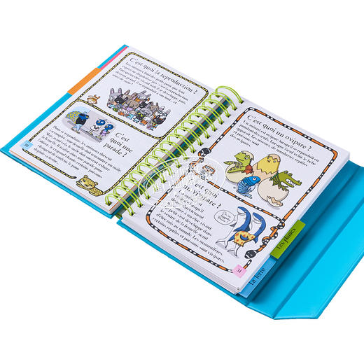 【中商原版】法语百科书 告诉我 这是什么 Dis moi  Cest quoi  法文原版 Elisabeth Marrou 商品图4