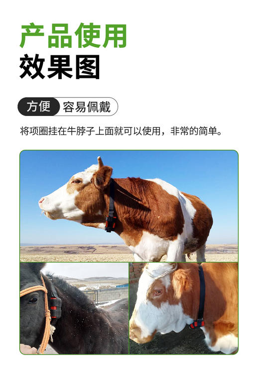 革泰神州15GPS电子牛羊骆驼动物定位养殖专用追踪神器 商品图4