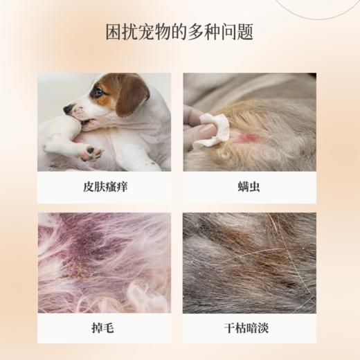 奥芬洁【明星产品】狗狗沐浴露猫咪沐浴露抑菌除螨宠物洗澡沐浴露 商品图2