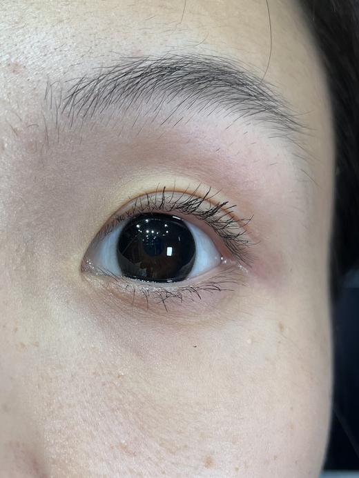 E-lensstyle 乌梅子 半年抛 直径14.5 着色13.8 商品图5