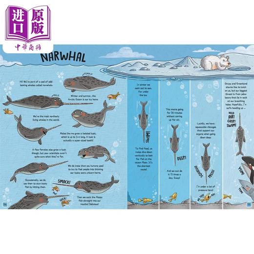 【中商原版】Mike Barfield The Wild Life Of Animals 动物的野生生活 英文原版进口图书 儿童科普绘本 动物知识图画书 商品图1