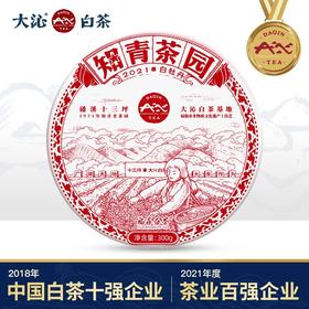 【匠心之作 清香之味】大沁白茶 知青系列 2021年福鼎白茶 白牡丹饼茶 礼盒装 300g/盒（京东同款）