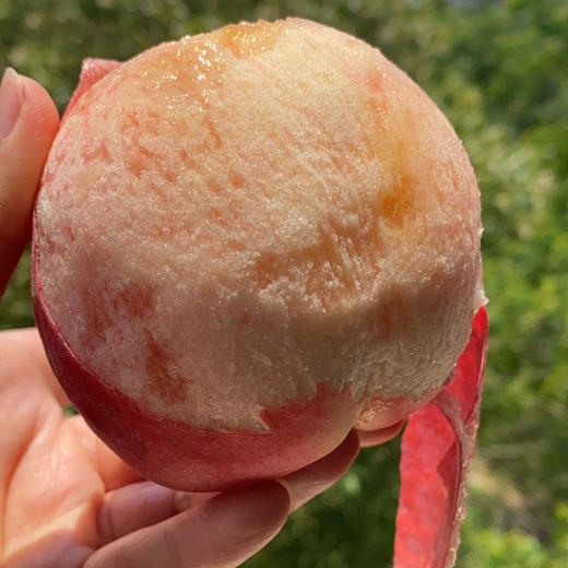 产地直邮-陕西突围水蜜桃 硬吃脆甜 软吃糯甜 商品图4