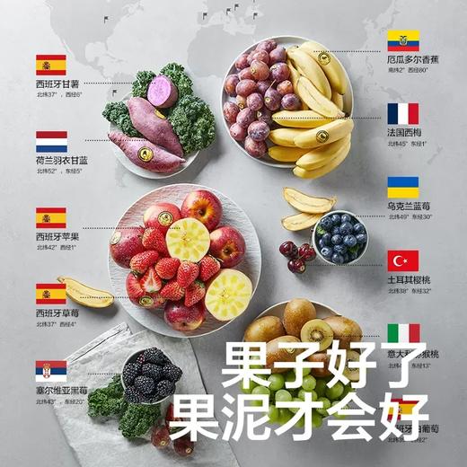 光合星球西梅/葡萄草莓/香蕉/黑莓蓝莓泥/黑加仑红树莓/枇杷 梨/香蕉泥100g/BBC-001013/001037/001051/121050/121074/121111/121159/121067 商品图2