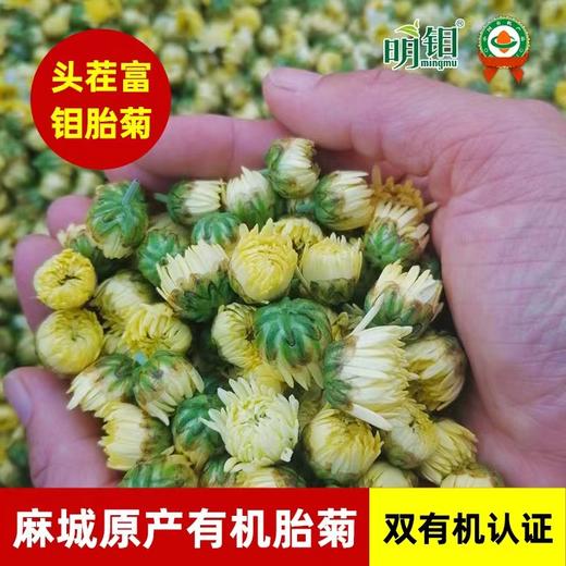 【三合护眼法】明钼菊菊花茶蒸汽热敷眼罩眼目按摩仪 商品图3
