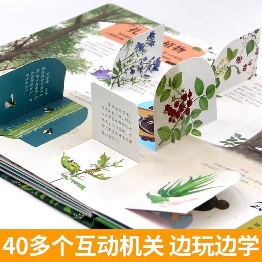 奇趣植物立体书儿童3d立体书绘本故事书3-6岁以上植物百科大全小学生翻翻书机关生日礼物玩具读物精装硬壳一二年级10手工女孩益智 商品图4