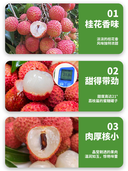 广东增城桂味荔枝10斤 商品图1